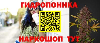 spice Рузаевка
